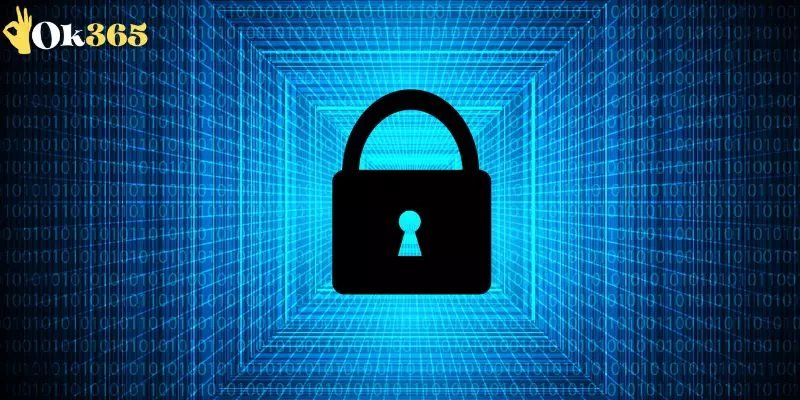 Biện pháp bảo vệ dữ liệu của OK365