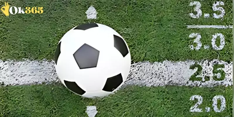 Giới thiệu kèo Tài Xỉu OK365