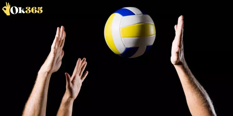 Lý do nên tham gia đặt cược bóng chuyền giành chiến thắng